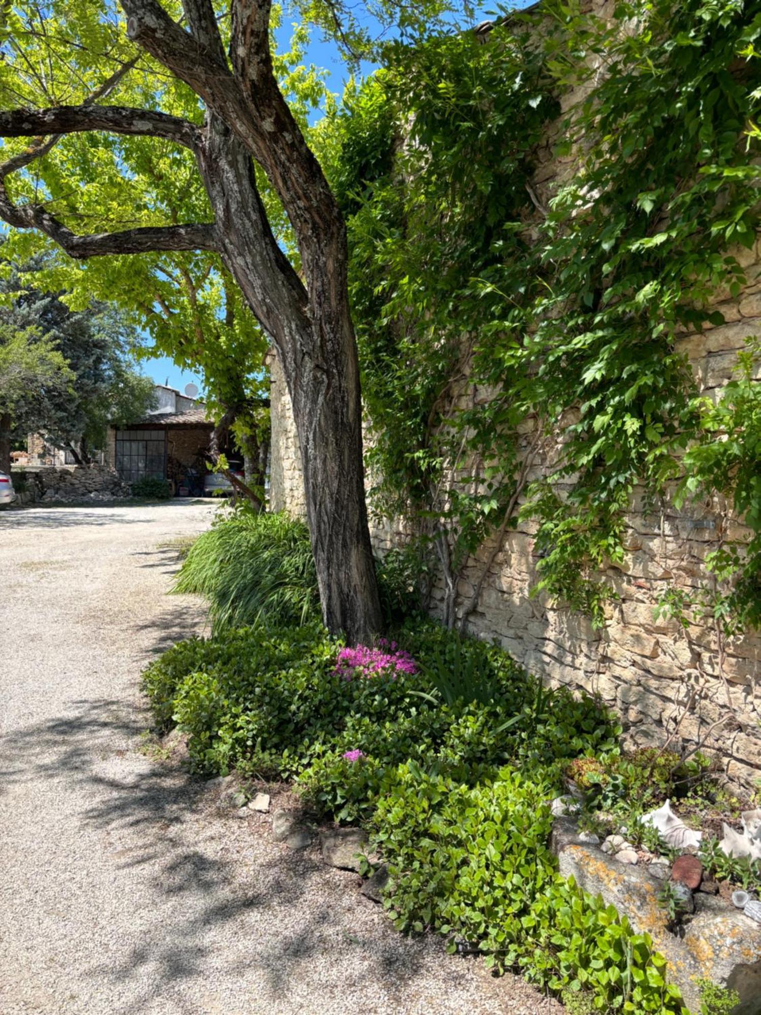 Les Juliens Apartment Gordes Luaran gambar